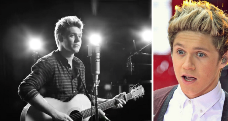 WTF! Mira lo que dijo este fan PÚBLICAMENTE de Niall Horan