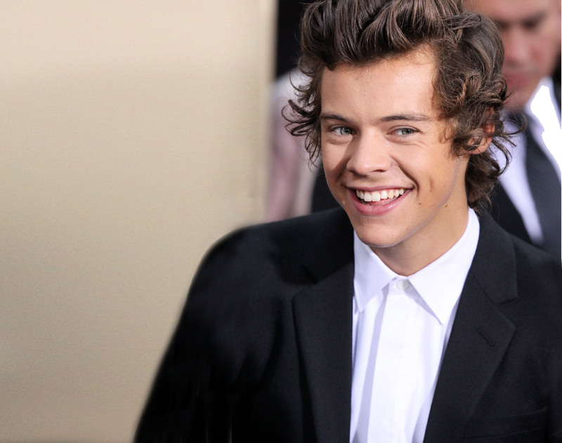 ¿Harry Styles dejará One Direction?