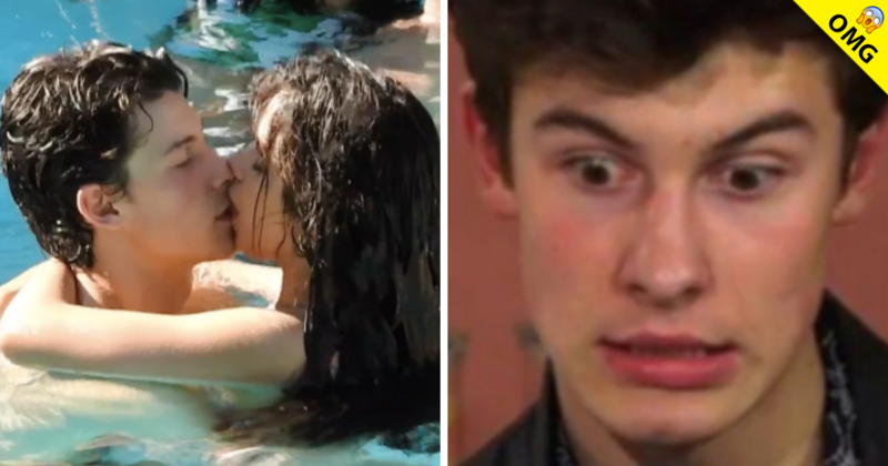 ¿Camila Cabello y Shawn esperan un hijo?