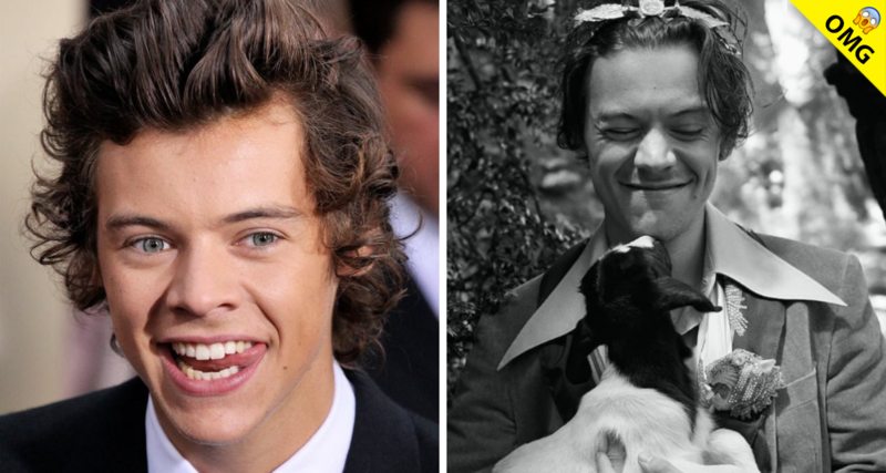 Con tiernas fotos Harry Styles conquista las redes sociales