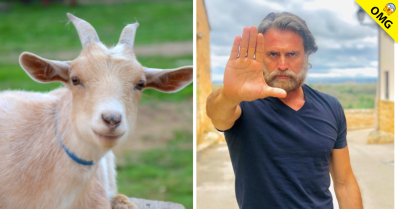 Actor de tv confiesa que recibió sexo oral de un animal