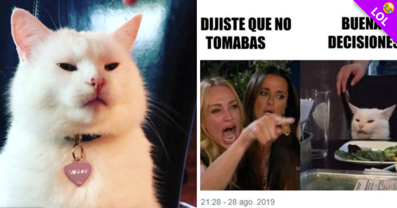 ¿De dónde salió el meme del gato en la mesa? ¡Checa la historia!