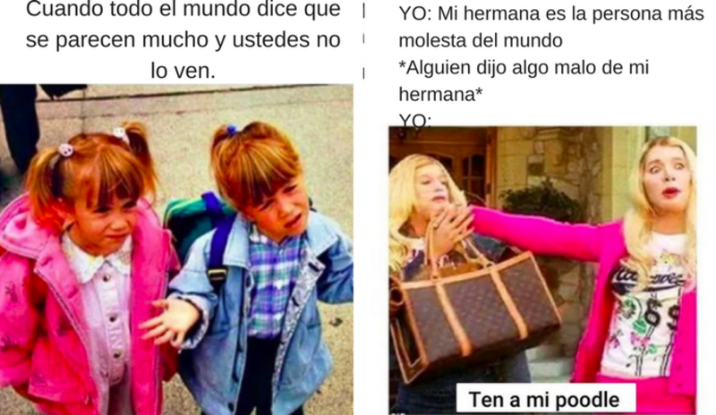 Los 10 memes más divertidos que debes compartir con tu hermana