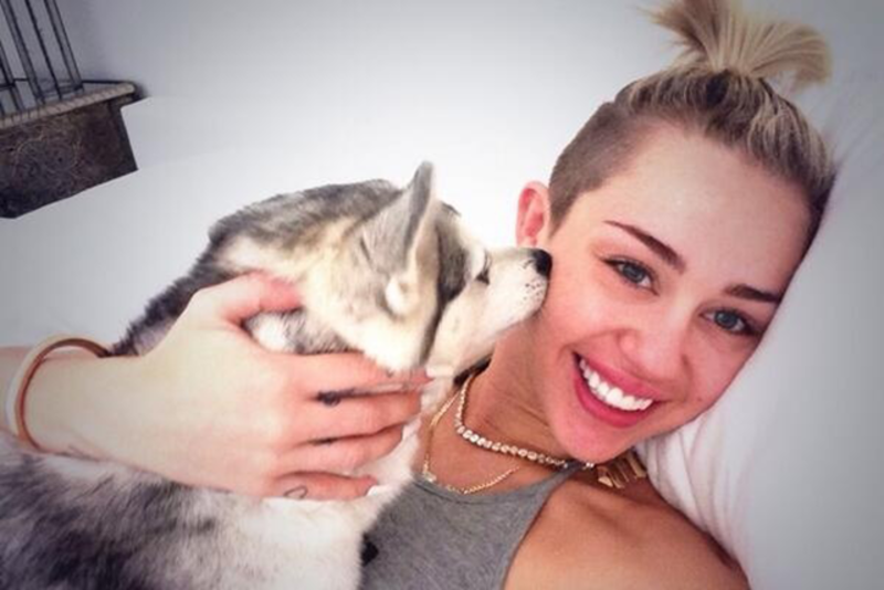 Miley Cyrus deprimida por la muerte de su mascota