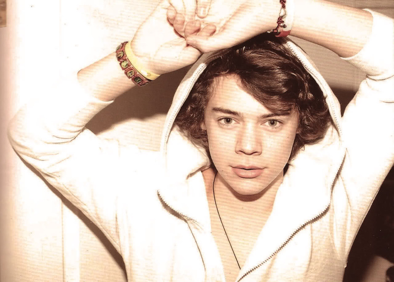 ¡Harry Styles se quiso robar a una novia!