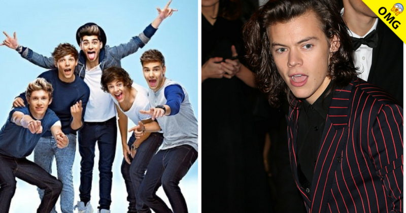 ¿One Direction se volverá a reunir?