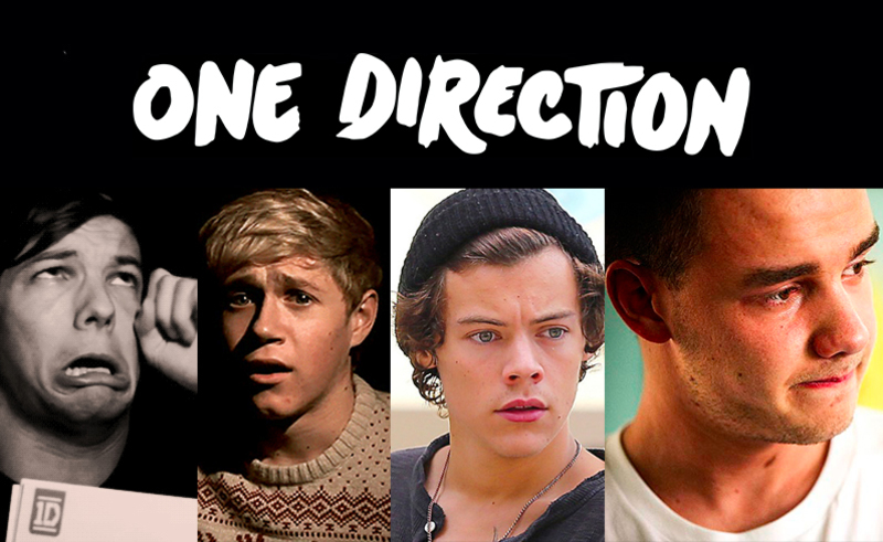 ¡OMG! One Direction se separa