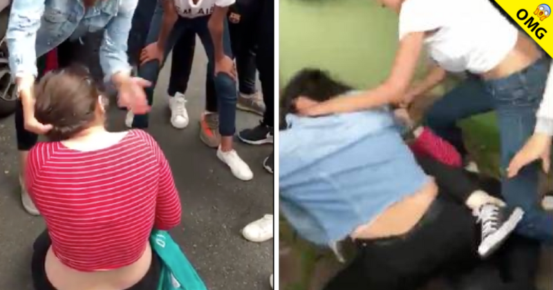 Juniors graban a compañera golpeando y humillando a otra