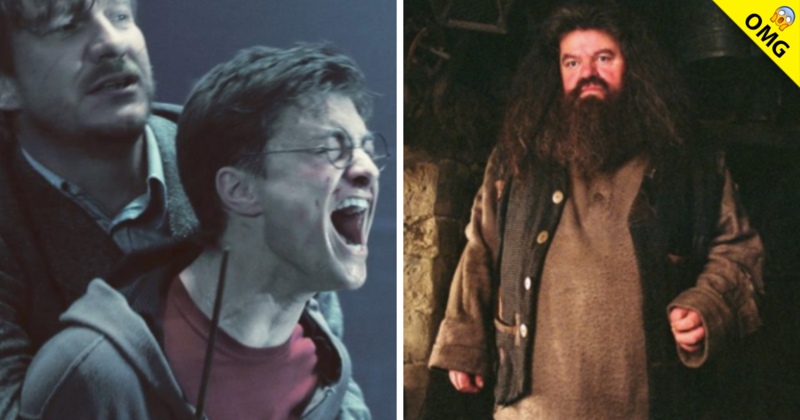 Actor de Harry Potter se encuentra con grave enfermedad