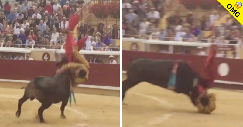 Torero Joaquín Galdós sufrió letales cornadas