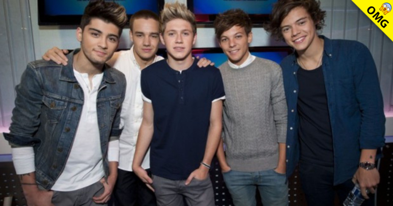 ¿Los exintegrantes de One Direction van a regresar?