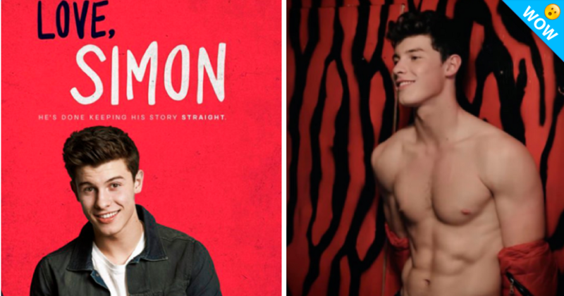 ¿Shawn Mendes iba a protagonizar película gay?