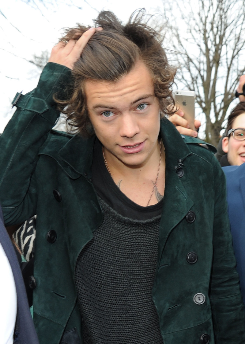 Harry Styles no fue al desfile de Kendall Jenner por ver a otra