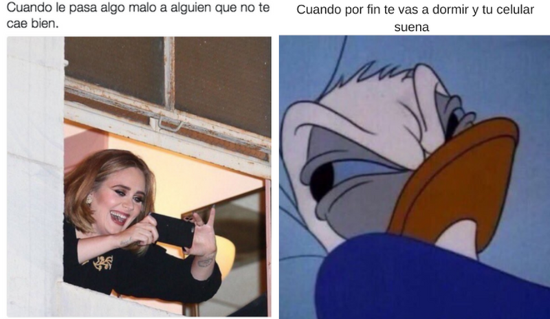 10 Memes que te harán reír si eres una persona AMARGADA