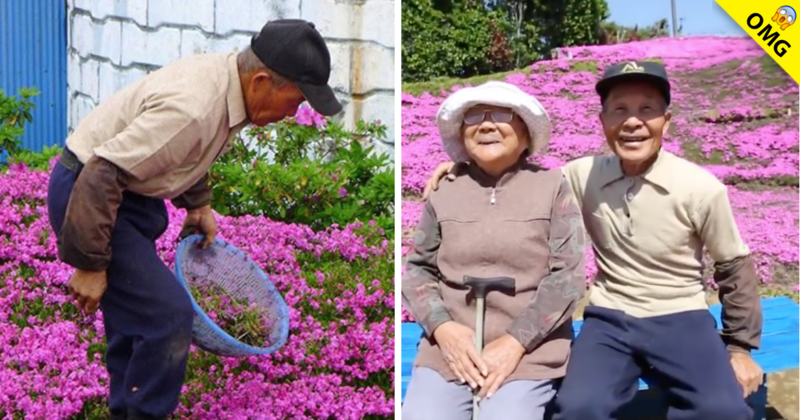 Hombre plantó miles de flores para su esposa