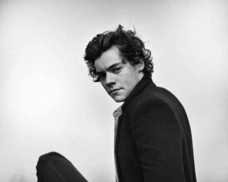 Harry Styles el próximo Christian Grey