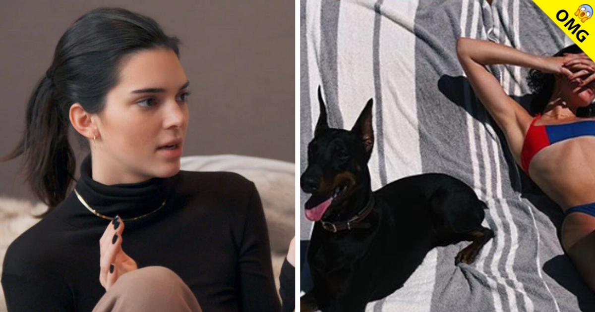 Acusan de maltrato animal a Kendall Jenner