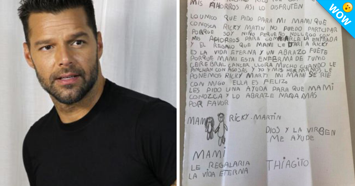 Niño gasta sus ahorros para que su mamá pudiera conocer a Ricky Martin