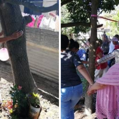 Mujer se casa con un árbol por amor a la naturaleza