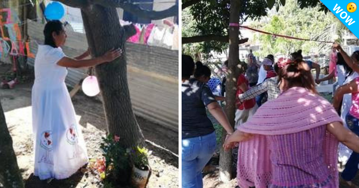 Mujer se casa con un árbol por amor a la naturaleza