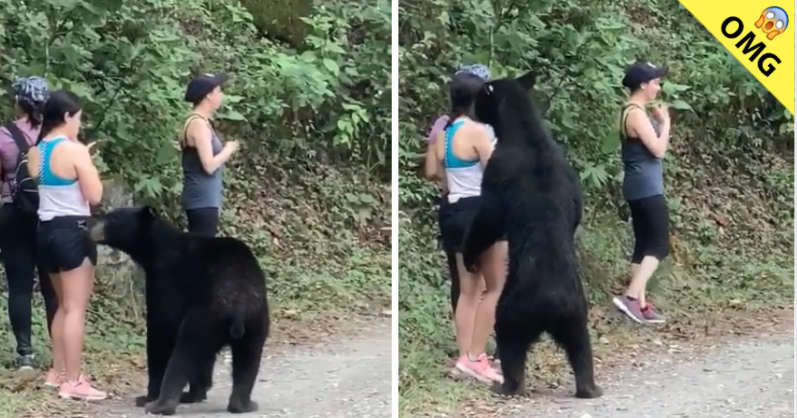 Revelan “selfie” de joven excursionista junto a un oso en Chipinque