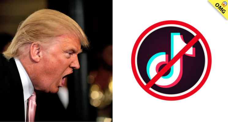 Tiktok queda prohibido en Estados Unidos