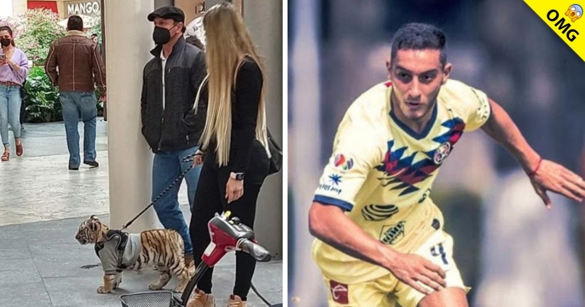 El tigre de Antara es de la novia del jugador de América, Sebastián Cáceres