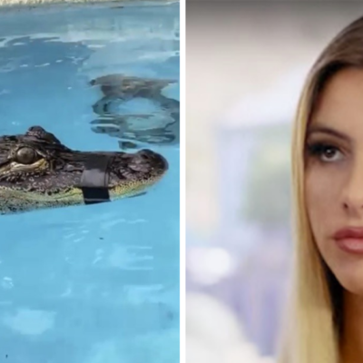 Acusan de maltrato animal a Lele Pons por nadar con cocodrilo amarrado