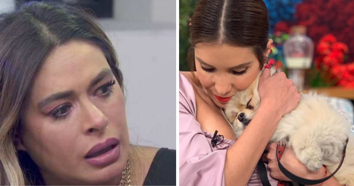 Galilea Montijo llora al ver que la mascota de Magda Rodríguez sufre por su muerte