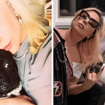 Lady Gaga ofrece recompensa de miles de dólares, tras secuestro de sus perros