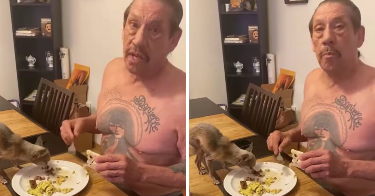 “Está bien compartir”: Danny Trejo deja que su chihuahua coma directamente de su plato