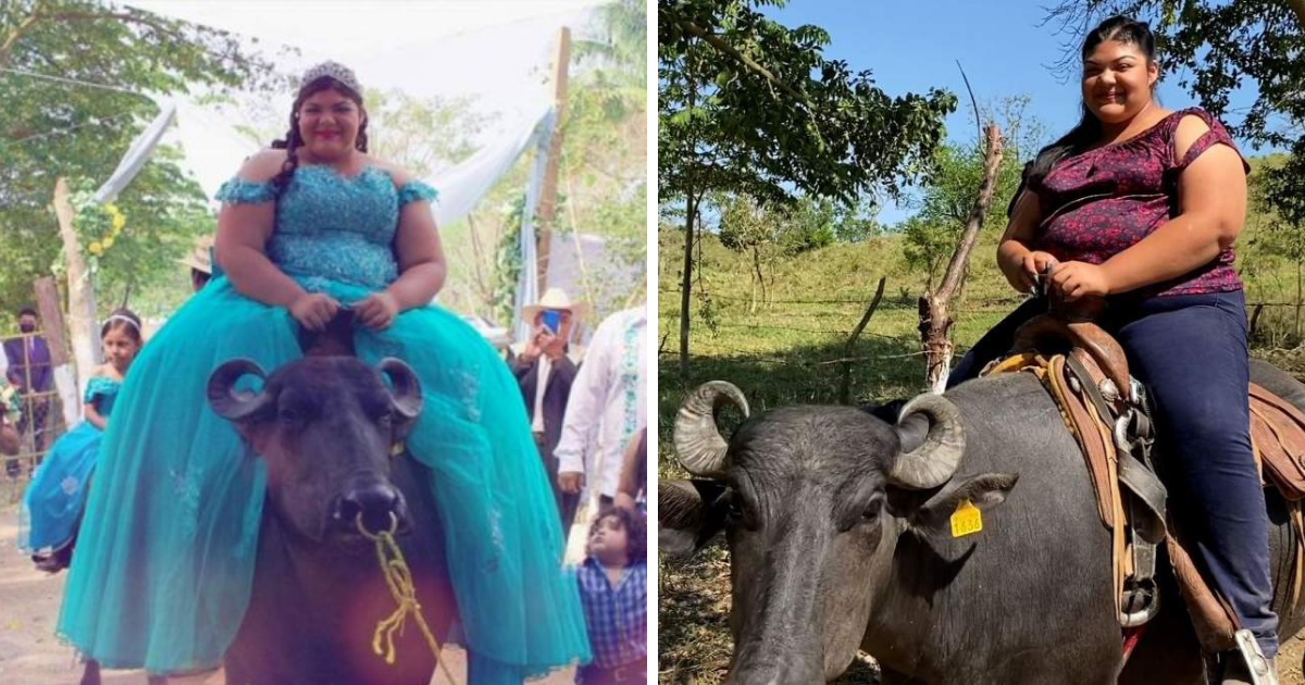 “La gorda está triunfando ahora”: quinceañera responde críticas por llegar a su fiesta de XV montada en búfalo