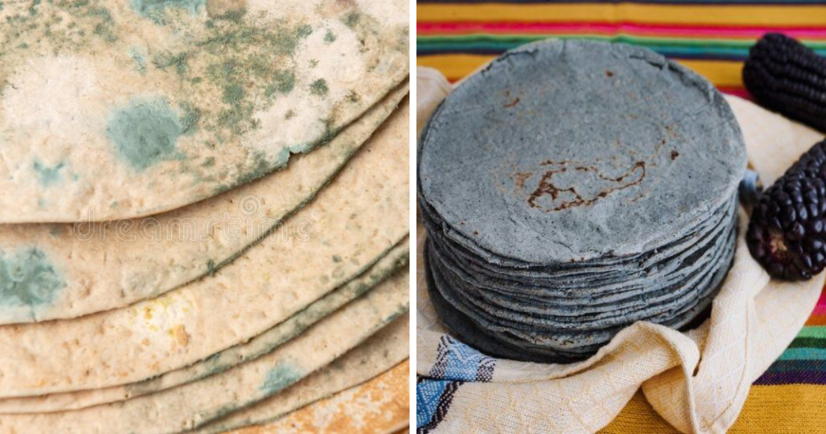 Tunden a joven que compró tortillas azules y pensó que estaban podridas -  EXA CDMX