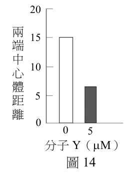 題組圖片