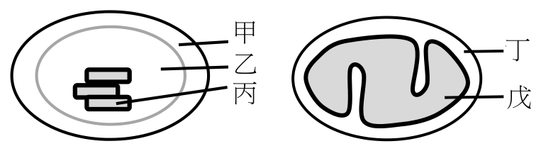 題目圖片