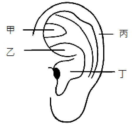 題目圖片