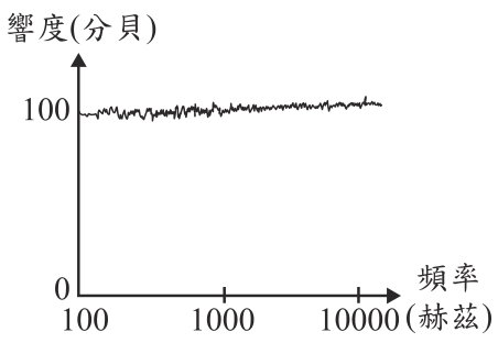選項 B