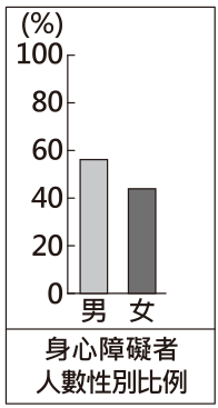 選項 B