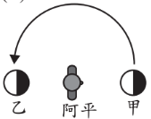選項 B