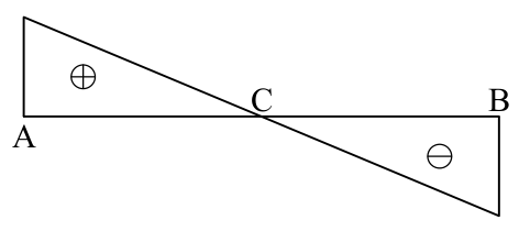 選項 C