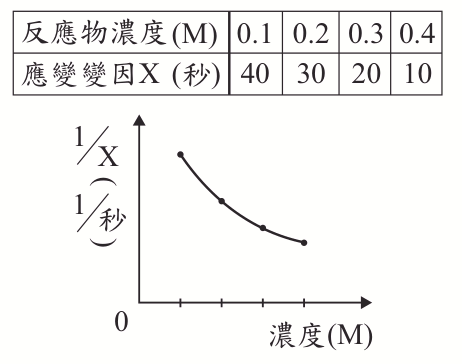 選項 D