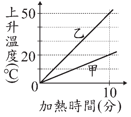 選項 D