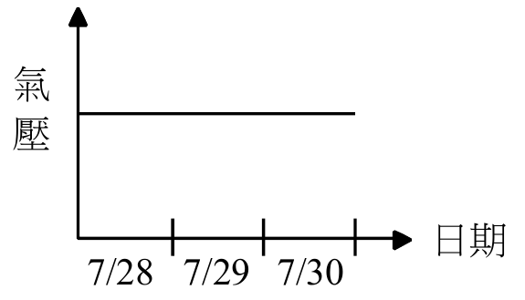 選項 B