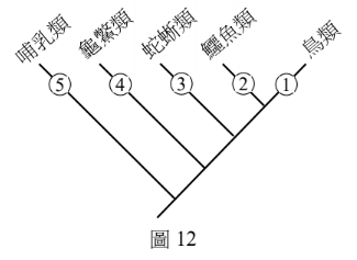 題目圖片