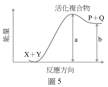 題目圖片