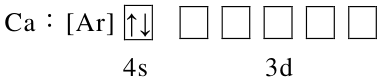 選項 C