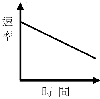 選項 C