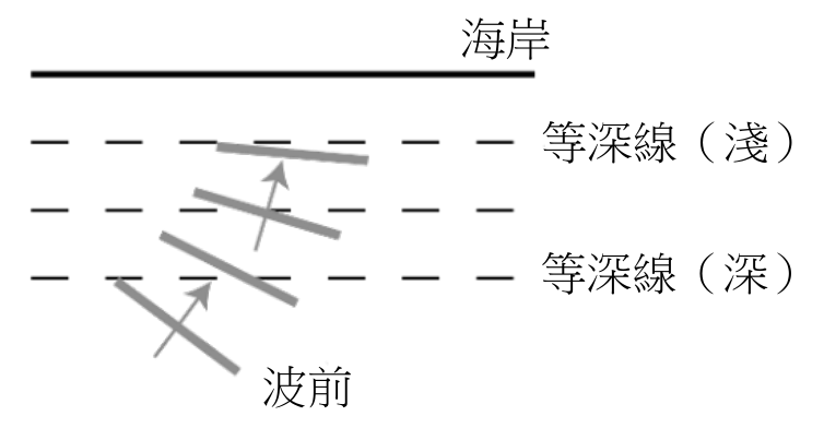 選項 B