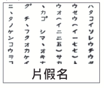 選項 C