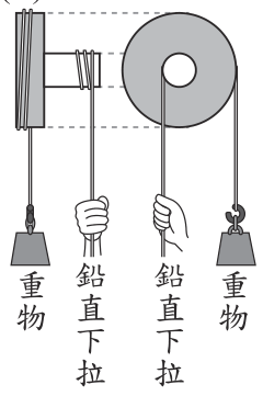 選項 C